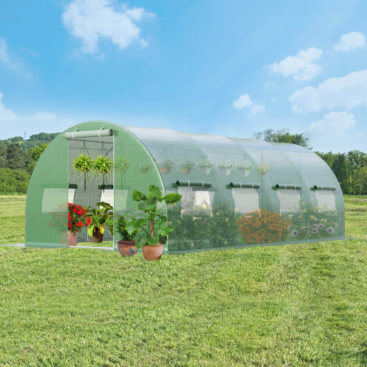 20 x 10 x 6.6 Feet Greenhouse with Windows and Doors for Outdoor-Green - Color: Green - Image 3