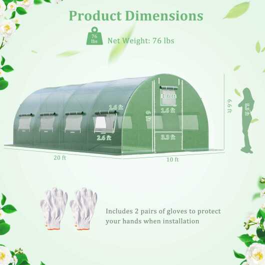 20 x 10 x 6.6 Feet Greenhouse with Windows and Doors for Outdoor-Green - Color: Green - Image 5