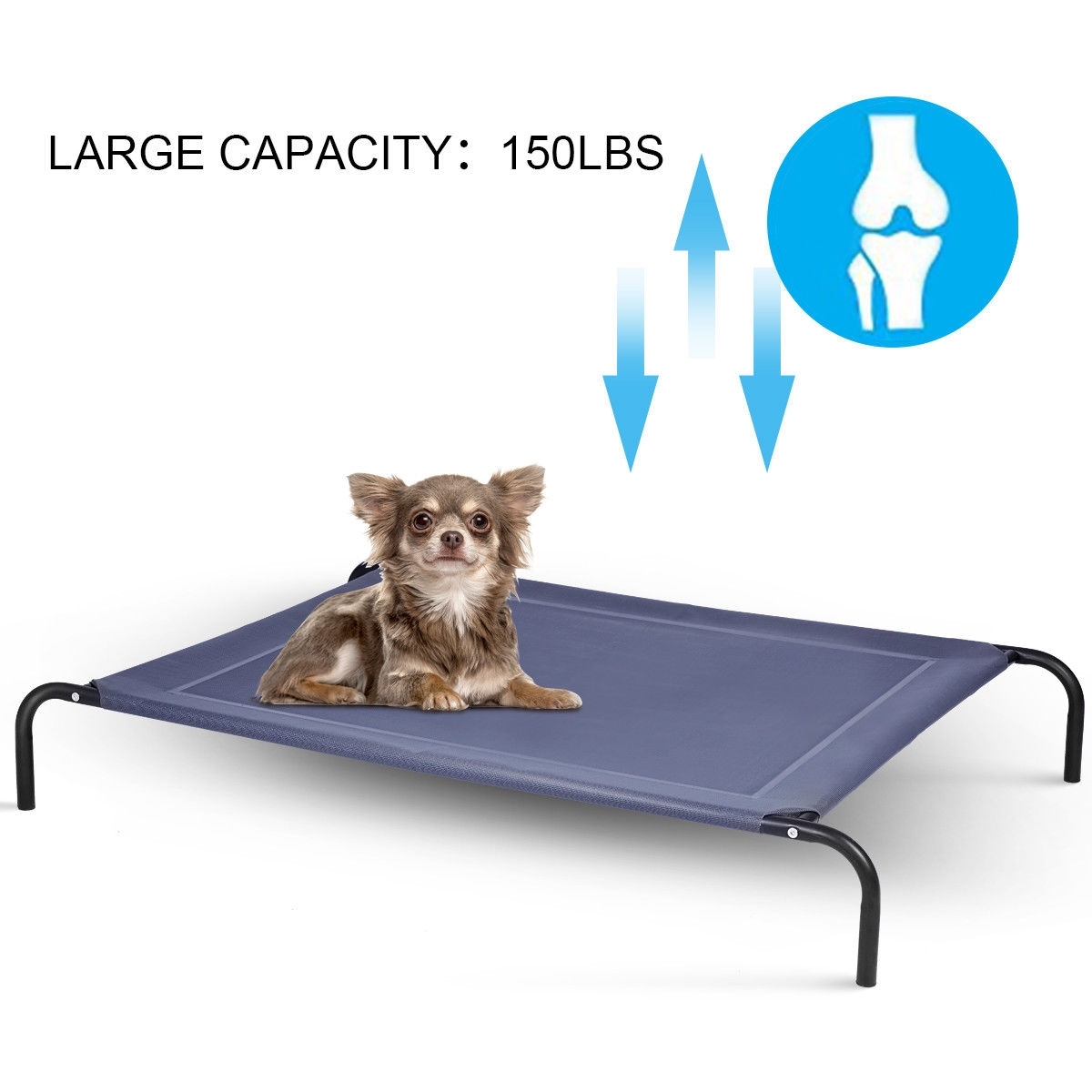 Large Indoor Outdoor Camping Steel Frame Elevated Pet Cot Mat-XL - Color: Black - Size: XL - Image 5